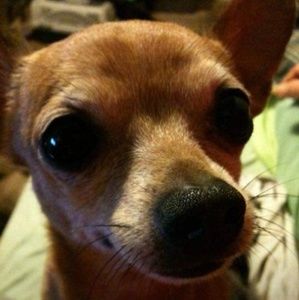 Meet your Posher, Lee